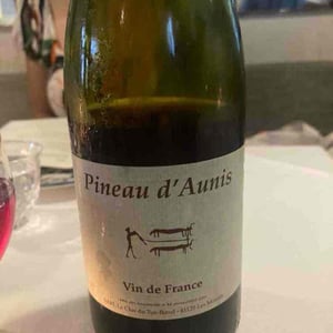 Pineau d'Aunis - Clos du Tue-Bœuf - zoe-louise-thierry-puzelat