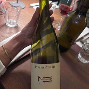 Pineau d'Aunis - Clos du Tue-Bœuf - Zoé, Louise & Thierry Puzelat