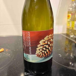 Pinecone Pinot Noir Rosé - Grandbois Weine - Tanja & Philippe Grandbois -2023