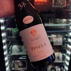 Pinela - Guerila - Zmagoslav Petrič 