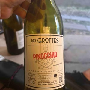 Pinocchio - Domaine des Grottes - Romain des Grottes -2024