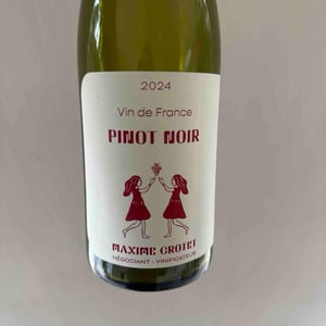 Pinont noir - Pinot noir - heitlinger -2024