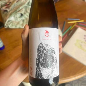 Pinot blanc - Marto Wines - Weingut Wörner - Martin Wörner -2022