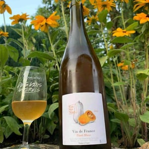 Pinot Blanc - VDF - Vini Viti Vinci - Nicolas Vauthier "Kikro" 