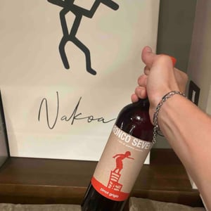 Pinot Grigio - Ronco Severo - Stefano Novello