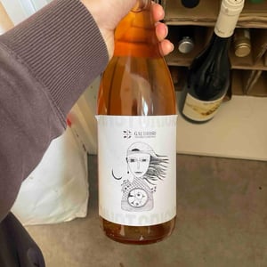 Pinot Grigio - Azienda Agricola Gaudioso - Antonio & Rosa Gaudioso 