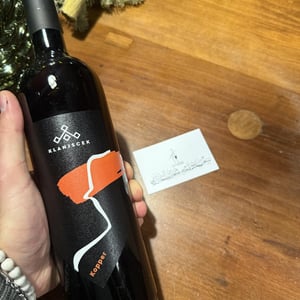 Pinot Grigio - Klanjscek - Klanjscek -2019