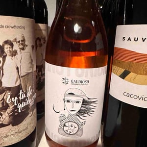 Pinot Grigio - Azienda Agricola Gaudioso - Antonio & Rosa Gaudioso 