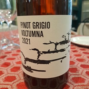 PINOT GRIGIO - Voltumna - Marzio Politi 