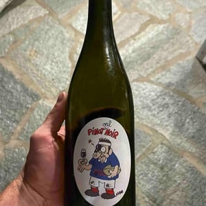 Pinot Œil Noir - Closerie De Chanteloup - vincent-frederic-willy