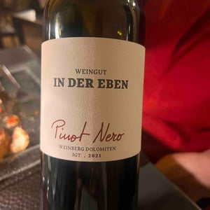 Pinot Nero - Weingut In Der Eben - Urban Plattner -2019