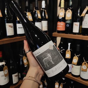 Pinot Noir - Tewā Wines - Vadim Mihailov -2024