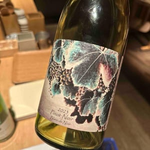 Pinot Noir Blanc de Noir - Shinga - takebe-yuji -2023