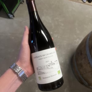 pinot noir Coteaux de Champlitte - Pascal Henriot - Pascal Henriot -2025