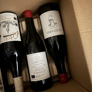 Pinot Noir Koregg - Weingut Karl Schnabel - karl-eva-schnabel -2019