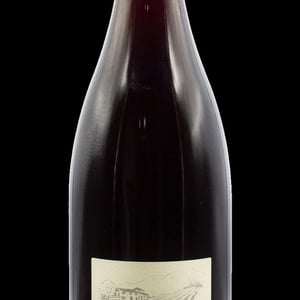 Pinot Noir - Domaine Dupasquier - david-veronique-dupasquier