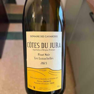 Pinot Noir Les Lumachelles - Domaine des Cavarodes - Etienne Thiebaud 