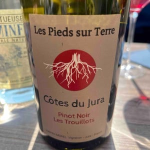 Pinot Noir Les Trouillots - Les Pieds Sur Terre - Valentin Morel 