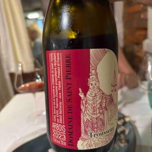 Pinot noir - Domaine de Saint Pierre - Fabrice Dodane 