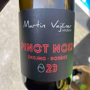 Pinot Noir - Martin Vajčner - martin-vajcner -2023