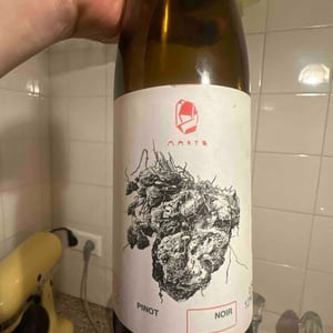 Pinot Noir - Marto Wines - Weingut Wörner - Martin Wörner -2021