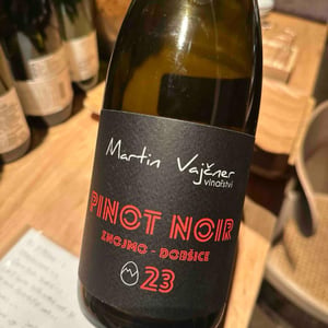 Pinot Noir - Martin Vajčner - Martin Vajčner -2023