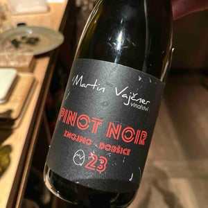 Pinot Noir - Martin Vajčner - martin-vajcner -2023