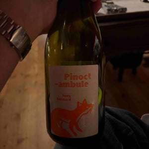 Pinotctambule - Domaine Bornard - Tony Bornard
