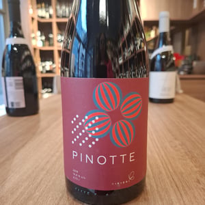 Pinotte - Bikicki Winery - djordje-bikicki
