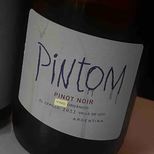Pintom - El Cepillo - el-cepillo -2022