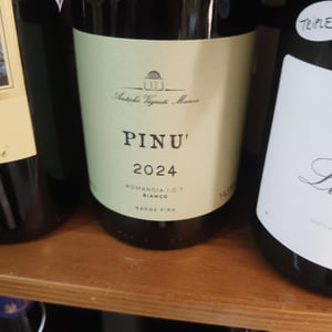 Pinu' - Antichi Vigneti Manca - alessia-e-noemi-manca -2023