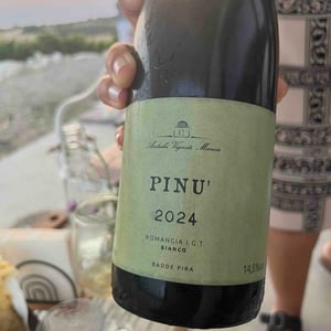 Pinu' - Antichi Vigneti Manca - alessia-e-noemi-manca -2023