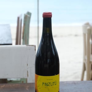Pinzutu - Domaine de Sulauze - karina-guillaume-lefevre