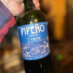 Pipeño Tinto - A Los Viñateros Bravos / Onda Brava - leonardo-erazo