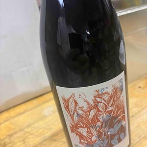 Plasma - Domaine de la Petite Soeur - adrien-de-mello -2023