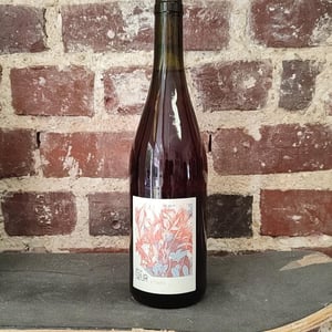 Plasma - Domaine de la Petite Soeur - adrien-de-mello -2023