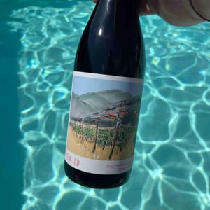 Plein Sud - Jacques Bouchevreau Paysan Vigneron - Jacques Bouchevreau 