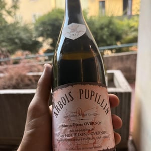 Plossard overnoy - Maison Pierre Overnoy - Emmanuel Houillon & Pierre Overnoy -2017