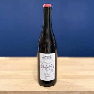 Pinostradamus - Domaine de la Borde - julien-mareschal -2020