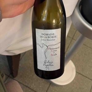Ploussard Côte de Feule - Domaine de la Borde - julien-mareschal