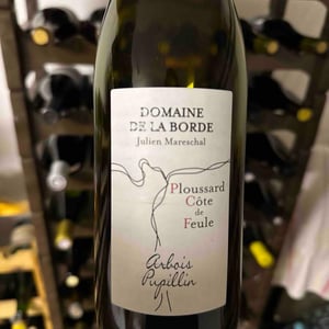 Ploussard Côte de Feule - Domaine de la Borde - Julien Mareschal 