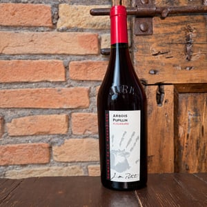 Ploussard - Domaine de la Renardière - jean-michel-laurence-et-leo-petit