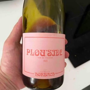 Plous’side - Étienne Horbach - etienne-horbach -2023