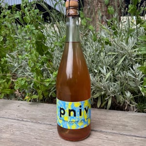 Pniv - Domaine In Ventis - Jean Baptist Favarel 