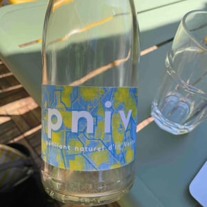 Pniv - Domaine in ventis - jean-baptist-favarel -2025