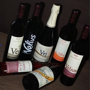 PODERE PRADAROLO - Podere Pradarolo - Alberto Carretti 
