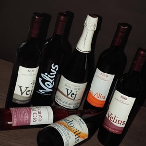 Podere Pradarolo - Podere Pradarolo - Alberto Carretti 