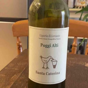 Poggi Alti - Santa Caterina - andrea-kihlgren