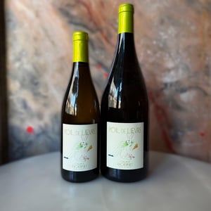 Poil de Lievre - Domaine Calvez-Bobinet - sebastien-bobinet-emeline-calvez