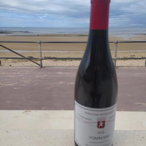 Pommard - Domaine Bonnardot - antoine-ludovic-emilien-bonnardot